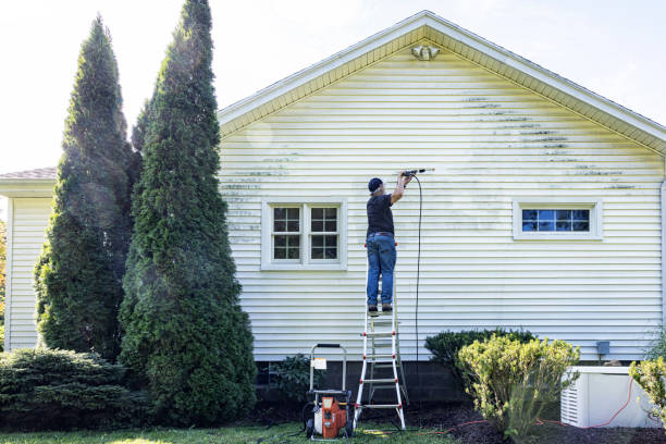 Best Driveway Pressure Washing  in West Hurley, NY